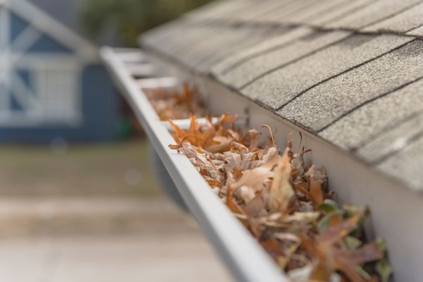Leaf Barrier Installation in Ponte Vedra Beach